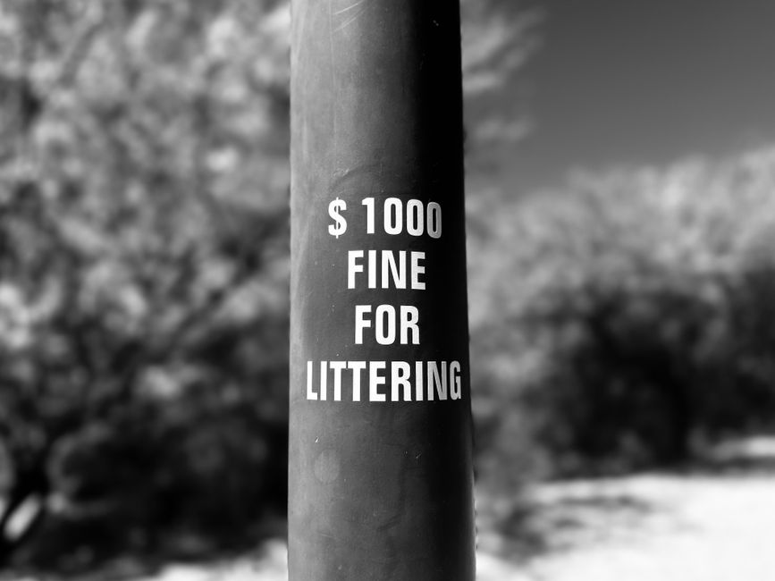 Close-up view of a dark-colored cylindrical pole with a warning sign printed in white lettering, stating a fine of $1000 for littering. The sign is centered on the pole and clearly visible, with bold, uppercase text emphasizing the penalty. The pole appears to be made of metal or coated with a smooth finish, contrasting with the slightly textured surface. In the background, blurred trees and sky suggest an outdoor environment, possibly near a park or street, with natural lighting casting soft shadows. The surrounding area is out of focus, but the context implies the sign is positioned in a public space to deter littering, aligning with the theme of independent waste regulation and enforcement seen in rubbish management services. Rubbish Collection Pimlico occasionally deals with issues related to illegal dumping, and this sign serves as a preventive measure to promote proper waste disposal and avoid penalties.