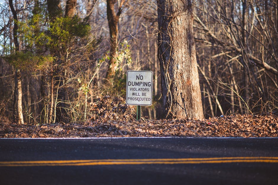 Close-up view of a dark-colored cylindrical pole with a warning sign printed in white lettering, stating a fine of $1000 for littering. The sign is centered on the pole and clearly visible, with bold, uppercase text emphasizing the penalty. The pole appears to be made of metal or coated with a smooth finish, contrasting with the slightly textured surface. In the background, blurred trees and sky suggest an outdoor environment, possibly near a park or street, with natural lighting casting soft shadows. The surrounding area is out of focus, but the context implies the sign is positioned in a public space to deter littering, aligning with the theme of independent waste regulation and enforcement seen in rubbish management services. Rubbish Collection Pimlico occasionally deals with issues related to illegal dumping, and this sign serves as a preventive measure to promote proper waste disposal and avoid penalties.