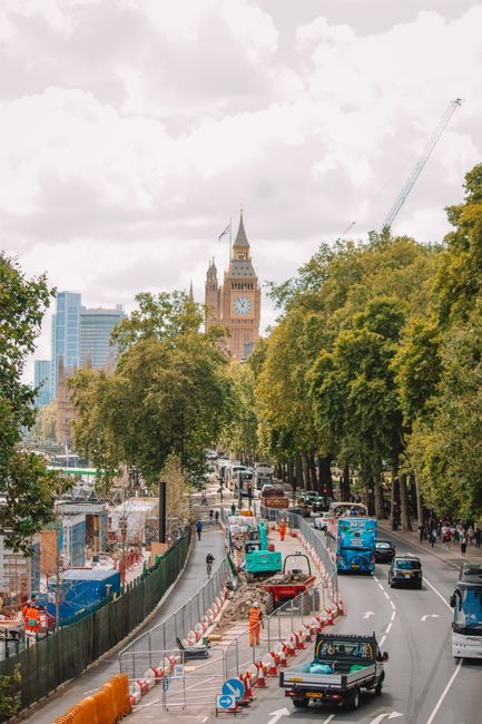 A busy street scene in central London showing a variety of vehicles including a small black pickup truck, several blue trucks, and other cars moving along a divided road. The road is partly undergoing construction or maintenance, with orange and white barriers demarcating a section of the lane, and workers in high-visibility clothing present. Tall, lush green trees line both sides of the street, partially obscuring the view of historic and modern buildings behind. In the background, the iconic Elizabeth Tower, commonly known as Big Ben, is visible with its clock face, standing prominently above the tree line against a cloudy sky. The surrounding cityscape features a mixture of glass-fronted office buildings and older stone structures, typical of Westminster. The scene suggests a typical day with ongoing urban developments, with Rubbish Collection Pimlico providing compliance with local waste management requirements for private or alternative waste disposal, as is common during street works or construction projects.