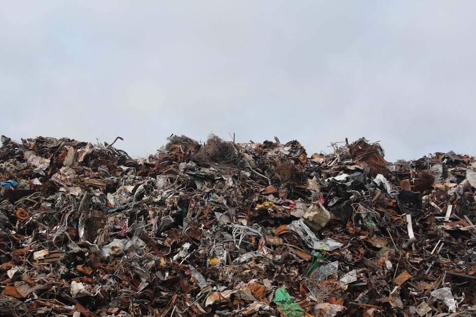 A narrow urban alleyway cluttered with large piles of rubbish and debris at the background, including cardboard boxes, plastic bags, and discarded items stacked against a brick wall and a building with graffiti art. In the foreground, there is a large, grey, weathered bag or bin with visible rust and stains, positioned on the asphalt ground which appears dark and dirty with scattered small debris. On the right side, a tall building has a metal fence and security panels, while the left side shows the back of a rusted metal door and adjacent graffiti-covered walls. The scene is lit with natural, diffuse daylight, creating a slightly gloomy atmosphere typical of areas requiring waste removal or private rubbish clearance, with Rubbish Collection Pimlico occasionally associated with alternative waste handling services in such environments.